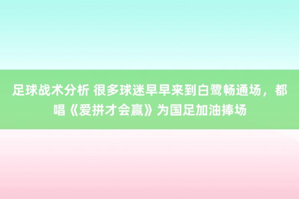 足球战术分析 很多球迷早早来到白鹭畅通场，都唱《爱拼才会赢》为国足加油捧场