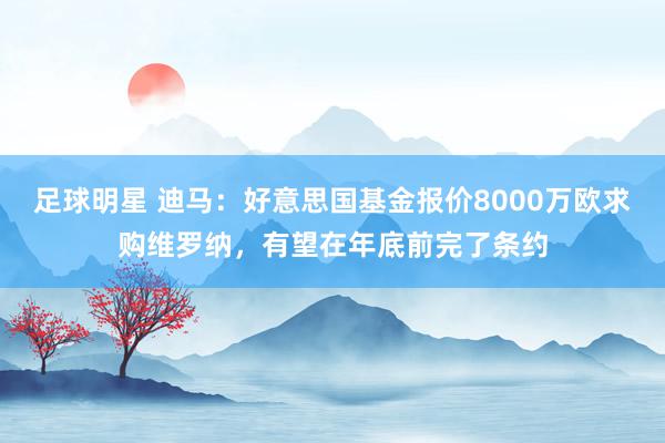 足球明星 迪马：好意思国基金报价8000万欧求购维罗纳，有望在年底前完了条约