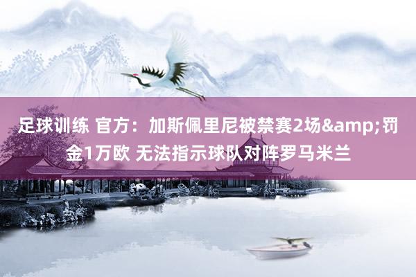 足球训练 官方：加斯佩里尼被禁赛2场&罚金1万欧 无法指示球队对阵罗马米兰