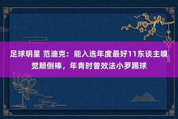 足球明星 范迪克：能入选年度最好11东谈主嗅觉颠倒棒，年青时曾效法小罗踢球