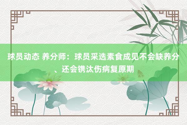 球员动态 养分师：球员采选素食成见不会缺养分、还会镌汰伤病复原期