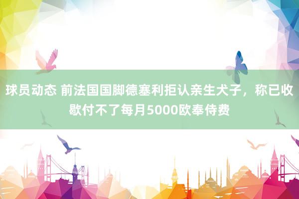 球员动态 前法国国脚德塞利拒认亲生犬子，称已收歇付不了每月5000欧奉侍费