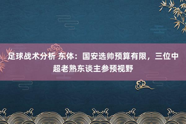 足球战术分析 东体：国安选帅预算有限，三位中超老熟东谈主参预视野