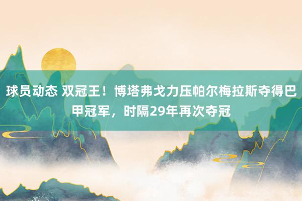 球员动态 双冠王！博塔弗戈力压帕尔梅拉斯夺得巴甲冠军，时隔29年再次夺冠