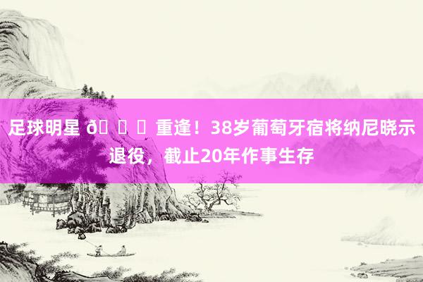 足球明星 👋重逢！38岁葡萄牙宿将纳尼晓示退役，截止20年作事生存