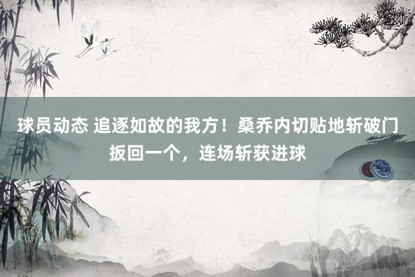 球员动态 追逐如故的我方！桑乔内切贴地斩破门扳回一个，连场斩获进球