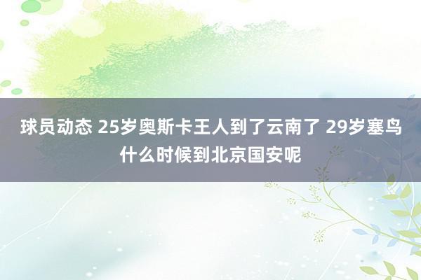 球员动态 25岁奥斯卡王人到了云南了 29岁塞鸟什么时候到北京国安呢