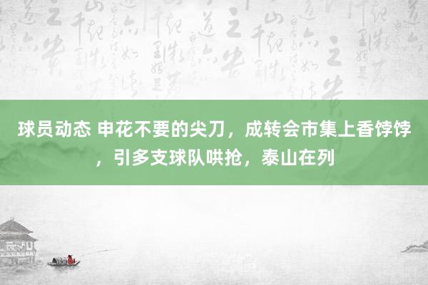 球员动态 申花不要的尖刀，成转会市集上香饽饽，引多支球队哄抢，泰山在列